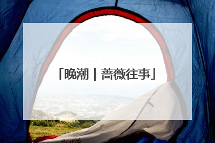 晚潮｜蔷薇往事